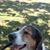 Michelle Whitman's profile image