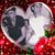 Stephanie Warin Zonin's profile image