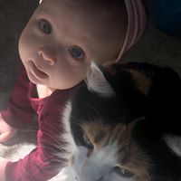 Angie Elsey Poliette's profile image