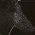 Dustin Haire's profile image