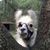 John Cox's profile image
