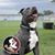 Linda Green's profile image
