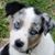Christy McCoy Province's profile image