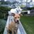 J.F. Newkirk's profile image