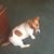 Ginny Lynn Chasteen's profile image