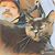 Todd O. Picton's profile image