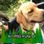 Hunter Longsdorf's profile image