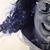 Dina Gallousis Aurichio's profile image