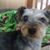 Karen Wallace's profile image
