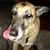 Michelle Craig Johnson's profile image