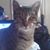 Kathy Foley's profile image