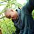 Jimmie Kimani's profile image