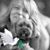 Doris Amrehn Stringer's profile image