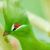 Elizabeth Lilly's profile image