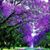 Lorraine Cantrell's profile image