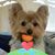 Lewina Hui's profile image