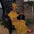 Tonda Hall-Nunn's profile image