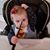 Lara Anne Davis's profile image