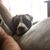 Brian Bloomer's profile image