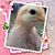 Kimberly Lavigne's profile image