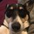 Natasha Margulis's profile image