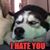 Matthew Hoeveler's profile image