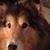 Kary Kelly's profile image