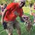 Brent Baldwin's profile image