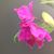 Dawn Isbell Jones's profile image