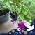 Sylvia Kuykendall's profile image