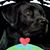 Aura Bustel's profile image
