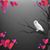 Musafir Kelana's profile image
