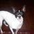 Sally Ann Smith's profile image