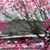 Rosalinda Maynes Galaviz's profile image