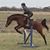 Ace Evans's profile image