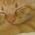 Cathy Rice's profile image