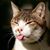 James Smith's profile image
