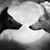 Carlos Flores's profile image