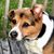 Ami Brassell-Rose's profile image