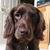 Darren Anderson's profile image