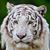 Elaine G. Duprie's profile image