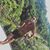 Hinsta Kifle's profile image
