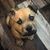 Rhonda Unger's profile image