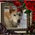 Lori Readinger's profile image