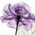 Tiffany Carlberg's profile image