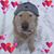 Glenda Klaassen's profile image