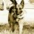 Bailey Sullivan's profile image