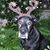 Karen Kearney's profile image