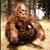 Roman Jacopi's profile image