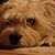 Beth Bohlman's profile image